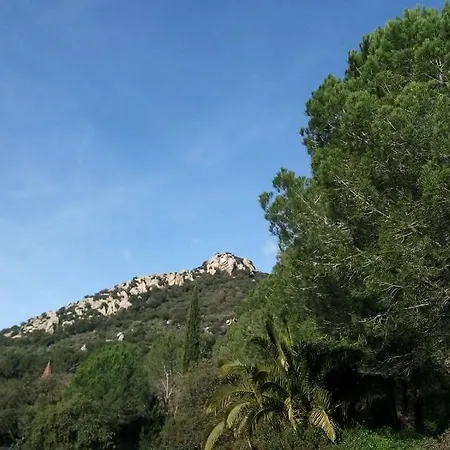 La Bayorre